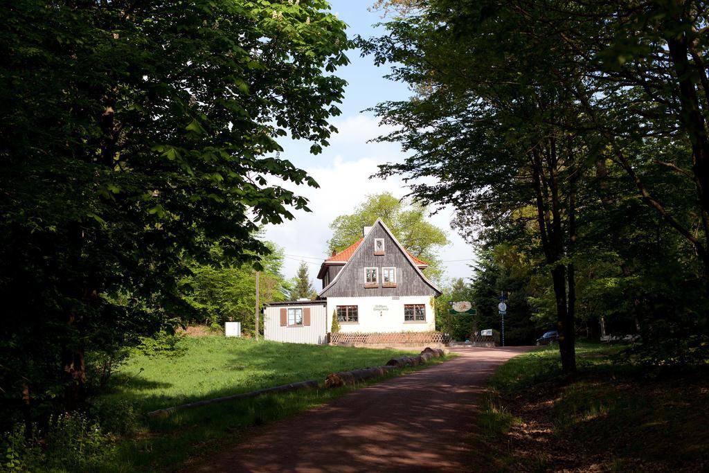 Saengerwiese Eisenach Room photo